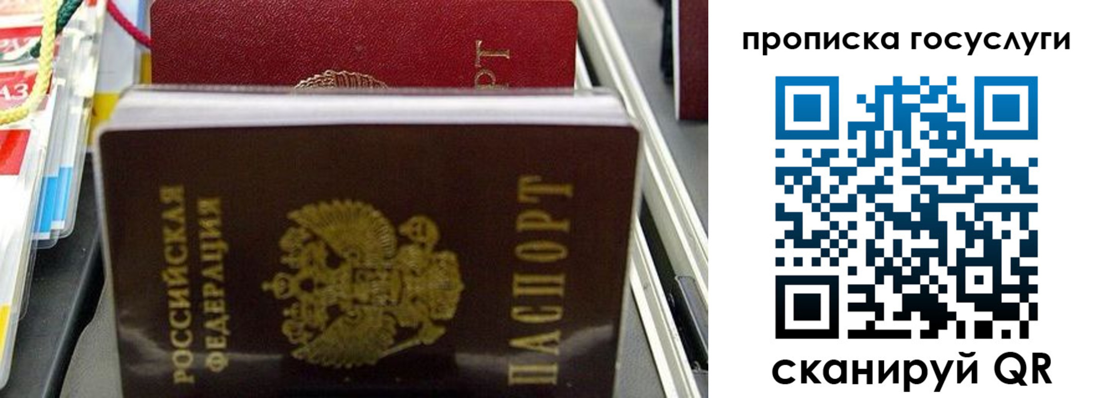 где прописаться в Новом Осколе